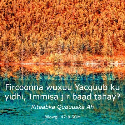 Picture 03 - Bilowgii 47:8 SOM - Fircoonna wuxuu Yacquub ku yidhi, Immisa jir baad - Bible Verse Picture