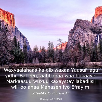 Picture 03 - Bilowgii 48:1 SOM - Waxyaalahaas ka dib waxaa Yuusuf lagu yidhi, Bal - Bible Verse Picture