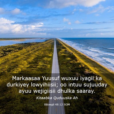 Picture 03 - Bilowgii 48:12 SOM - Markaasaa Yuusuf wuxuu iyagii ka durkiyey - Bible Verse Picture