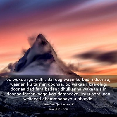 Picture 03 - Bilowgii 48:4 SOM - oo wuxuu igu yidhi, Bal eeg waan ku badin doonaa, - Bible Verse Picture