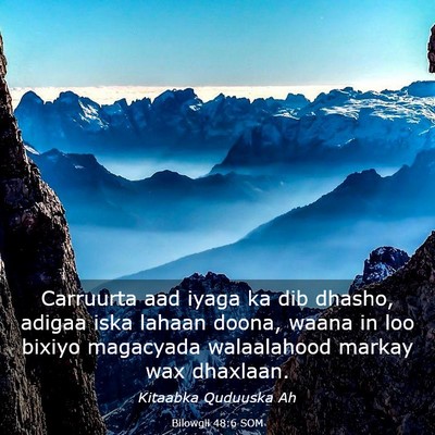 Picture 03 - Bilowgii 48:6 SOM - Carruurta aad iyaga ka dib dhasho, adigaa iska - Bible Verse Picture