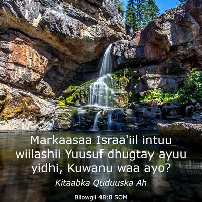 Picture 03 - Bilowgii 48:8 SOM - Markaasaa Israa'iil intuu wiilashii Yuusuf - Bible Verse Picture