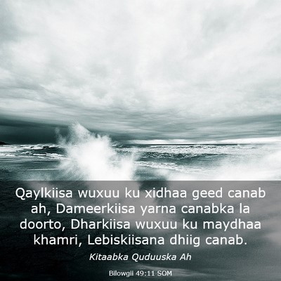 Picture 03 - Bilowgii 49:11 SOM - Qaylkiisa wuxuu ku xidhaa geed canab ah, - Bible Verse Picture