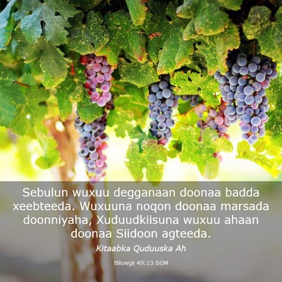 Picture 03 - Bilowgii 49:13 SOM - Sebulun wuxuu degganaan doonaa badda xeebteeda. - Bible Verse Picture