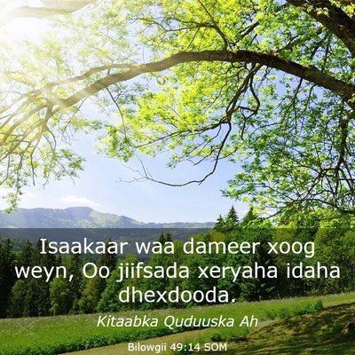 Picture 03 - Bilowgii 49:14 SOM - Isaakaar waa dameer xoog weyn, Oo jiifsada - Bible Verse Picture