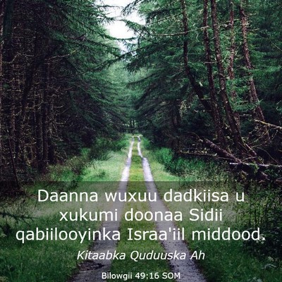 Picture 03 - Bilowgii 49:16 SOM - Daanna wuxuu dadkiisa u xukumi doonaa Sidii - Bible Verse Picture