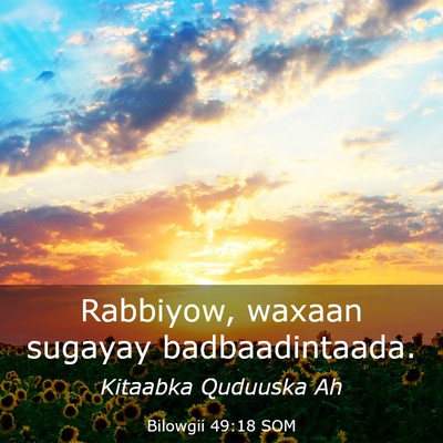 Picture 03 - Bilowgii 49:18 SOM - Rabbiyow, waxaan sugayay - Bible Verse Picture