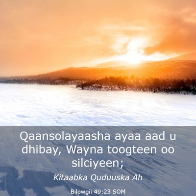Picture 03 - Bilowgii 49:23 SOM - Qaansolayaasha ayaa aad u dhibay, Wayna toogteen - Bible Verse Picture