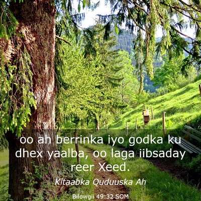 Picture 03 - Bilowgii 49:32 SOM - oo ah berrinka iyo godka ku dhex yaalba, oo laga - Bible Verse Picture