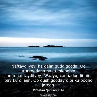 Picture 03 - Bilowgii 49:6 SOM - Naftaydiiyey, ha gelin guddigooda, Oo ururkoodana - Bible Verse Picture