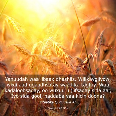 Picture 03 - Bilowgii 49:9 SOM - Yahuudah waa libaax dhashiis. Wiilkaygiiyow, - Bible Verse Picture