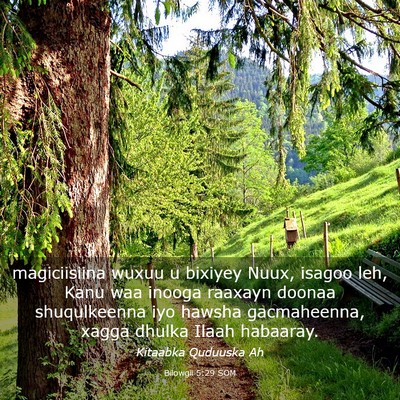 Picture 03 - Bilowgii 5:29 SOM - magiciisiina wuxuu u bixiyey Nuux, isagoo leh, - Bible Verse Picture