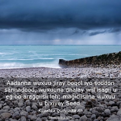 Picture 03 - Bilowgii 5:3 SOM - Aadanna wuxuu jiray boqol iyo soddon sannadood, - Bible Verse Picture