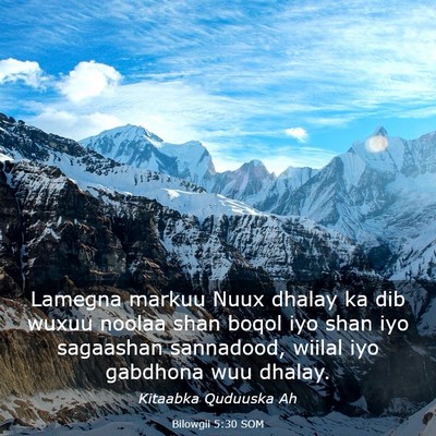 Picture 03 - Bilowgii 5:30 SOM - Lamegna markuu Nuux dhalay ka dib wuxuu noolaa - Bible Verse Picture