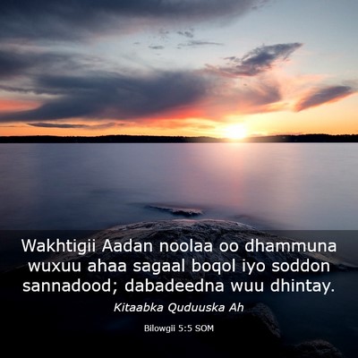 Picture 03 - Bilowgii 5:5 SOM - Wakhtigii Aadan noolaa oo dhammuna wuxuu ahaa - Bible Verse Picture