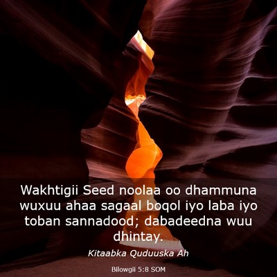 Picture 03 - Bilowgii 5:8 SOM - Wakhtigii Seed noolaa oo dhammuna wuxuu ahaa - Bible Verse Picture