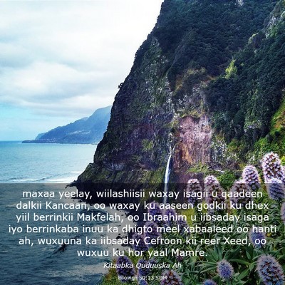 Picture 03 - Bilowgii 50:13 SOM - maxaa yeelay, wiilashiisii waxay isagii u qaadeen - Bible Verse Picture