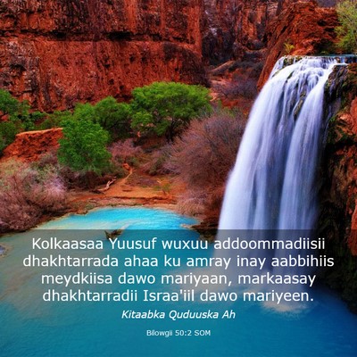 Picture 03 - Bilowgii 50:2 SOM - Kolkaasaa Yuusuf wuxuu addoommadiisii - Bible Verse Picture