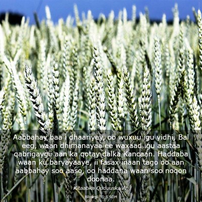 Picture 03 - Bilowgii 50:5 SOM - Aabbahay baa i dhaariyey, oo wuxuu igu yidhi, Bal - Bible Verse Picture