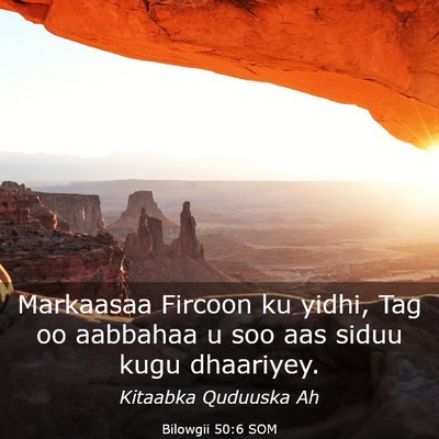 Picture 03 - Bilowgii 50:6 SOM - Markaasaa Fircoon ku yidhi, Tag oo aabbahaa u soo - Bible Verse Picture