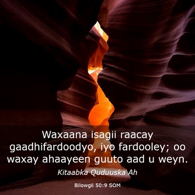 Picture 03 - Bilowgii 50:9 SOM - Waxaana isagii raacay gaadhifardoodyo, iyo - Bible Verse Picture