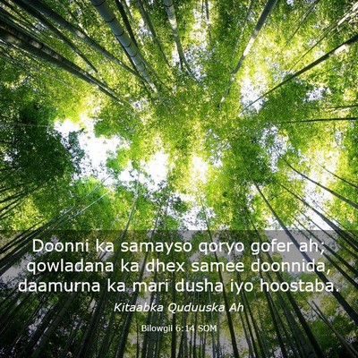 Picture 03 - Bilowgii 6:14 SOM - Doonni ka samayso qoryo gofer ah; qowladana ka - Bible Verse Picture