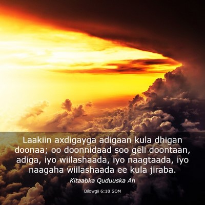 Picture 03 - Bilowgii 6:18 SOM - Laakiin axdigayga adigaan kula dhigan doonaa; oo - Bible Verse Picture