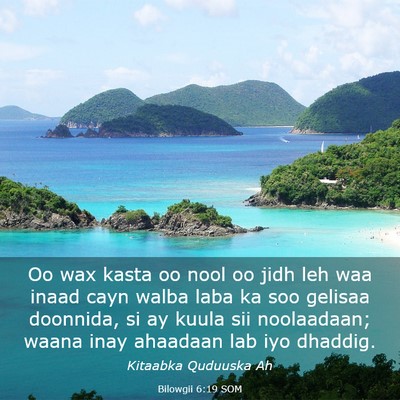 Picture 03 - Bilowgii 6:19 SOM - Oo wax kasta oo nool oo jidh leh waa inaad cayn - Bible Verse Picture