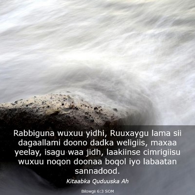 Picture 03 - Bilowgii 6:3 SOM - Rabbiguna wuxuu yidhi, Ruuxaygu lama sii - Bible Verse Picture