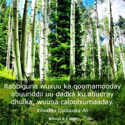 Picture 03 - Bilowgii 6:6 SOM - Rabbiguna wuxuu ka qoomamooday abuuriddii uu - Bible Verse Picture