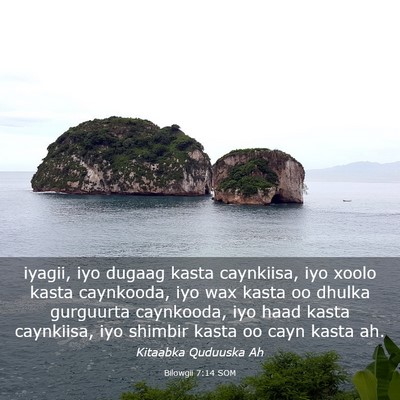 Picture 03 - Bilowgii 7:14 SOM - iyagii, iyo dugaag kasta caynkiisa, iyo xoolo - Bible Verse Picture