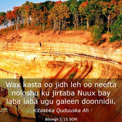 Picture 03 - Bilowgii 7:15 SOM - Wax kasta oo jidh leh oo neefta noloshu ku - Bible Verse Picture