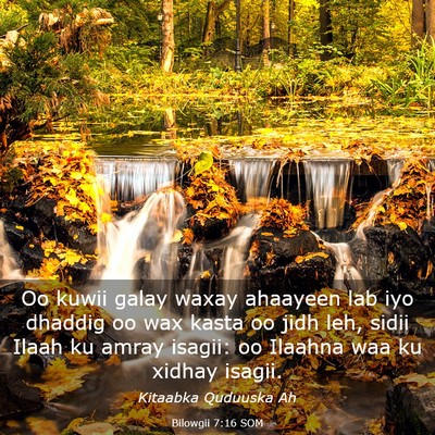 Picture 03 - Bilowgii 7:16 SOM - Oo kuwii galay waxay ahaayeen lab iyo dhaddig oo - Bible Verse Picture