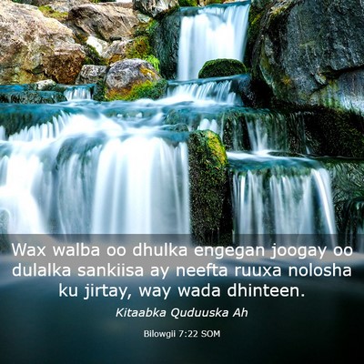 Picture 03 - Bilowgii 7:22 SOM - Wax walba oo dhulka engegan joogay oo dulalka - Bible Verse Picture