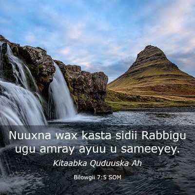 Picture 03 - Bilowgii 7:5 SOM - Nuuxna wax kasta sidii Rabbigu ugu amray ayuu u - Bible Verse Picture