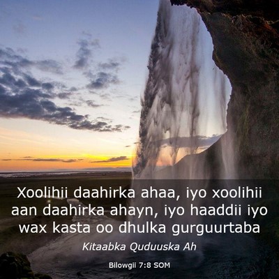 Picture 03 - Bilowgii 7:8 SOM - Xoolihii daahirka ahaa, iyo xoolihii aan daahirka - Bible Verse Picture