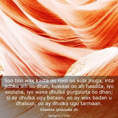 Picture 03 - Bilowgii 8:17 SOM - Soo bixi wax kasta oo nool oo kula jooga, inta - Bible Verse Picture