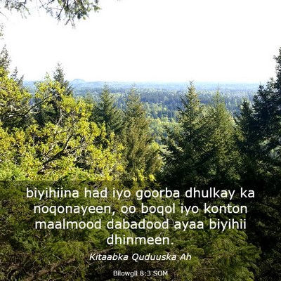 Picture 03 - Bilowgii 8:3 SOM - biyihiina had iyo goorba dhulkay ka noqonayeen, - Bible Verse Picture