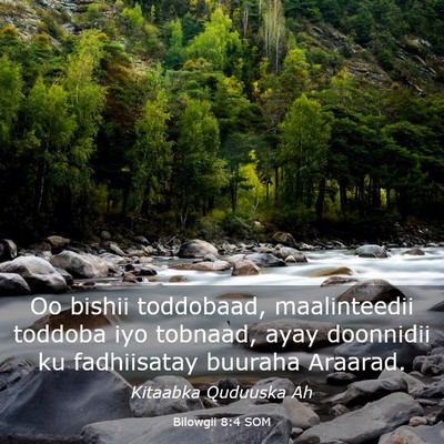 Picture 03 - Bilowgii 8:4 SOM - Oo bishii toddobaad, maalinteedii toddoba iyo - Bible Verse Picture