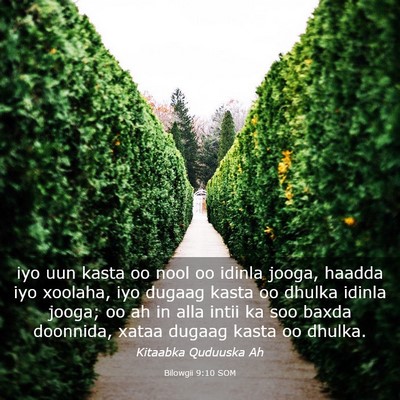 Picture 03 - Bilowgii 9:10 SOM - iyo uun kasta oo nool oo idinla jooga, haadda iyo - Bible Verse Picture