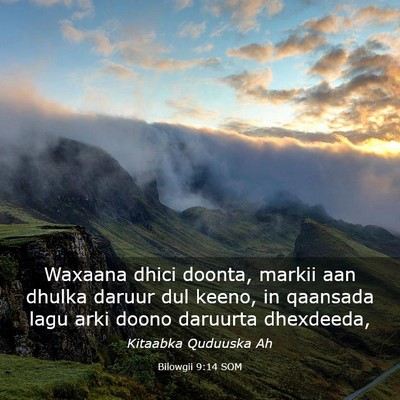 Picture 03 - Bilowgii 9:14 SOM - Waxaana dhici doonta, markii aan dhulka daruur - Bible Verse Picture