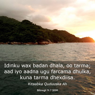 Picture 03 - Bilowgii 9:7 SOM - Idinku wax badan dhala, oo tarma; aad iyo aadna - Bible Verse Picture