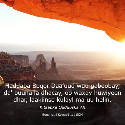 Picture 03 - Boqorradii Kowaad 1:1 SOM - Haddaba Boqor Daa'uud wuu gaboobay, da' buuna la - Bible Verse Picture