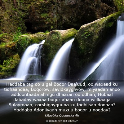 Picture 03 - Boqorradii Kowaad 1:13 SOM - Haddaba tag oo u gal Boqor Daa'uud, oo waxaad ku - Bible Verse Picture