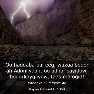 Picture 03 - Boqorradii Kowaad 1:18 SOM - Oo haddaba bal eeg, waxaa boqor ah Adoniiyaah, oo - Bible Verse Picture