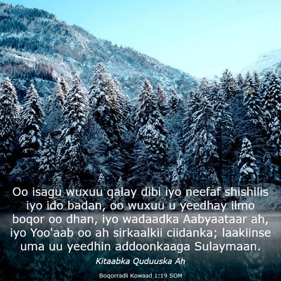 Picture 03 - Boqorradii Kowaad 1:19 SOM - Oo isagu wuxuu qalay dibi iyo neefaf shishilis - Bible Verse Picture