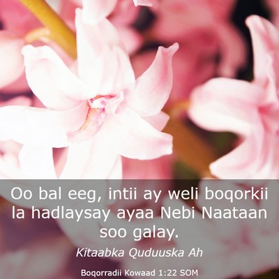 Picture 03 - Boqorradii Kowaad 1:22 SOM - Oo bal eeg, intii ay weli boqorkii la hadlaysay - Bible Verse Picture