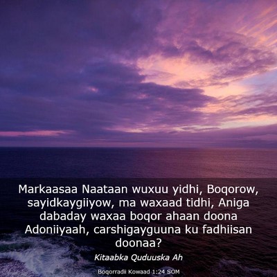 Picture 03 - Boqorradii Kowaad 1:24 SOM - Markaasaa Naataan wuxuu yidhi, Boqorow, - Bible Verse Picture
