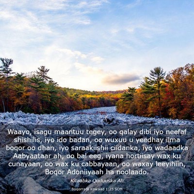 Picture 03 - Boqorradii Kowaad 1:25 SOM - Waayo, isagu maantuu tegey, oo qalay dibi iyo - Bible Verse Picture