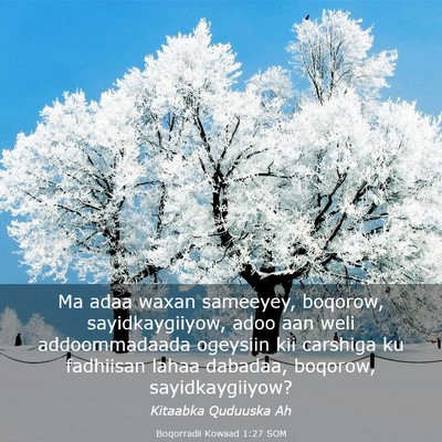 Picture 03 - Boqorradii Kowaad 1:27 SOM - Ma adaa waxan sameeyey, boqorow, sayidkaygiiyow, - Bible Verse Picture
